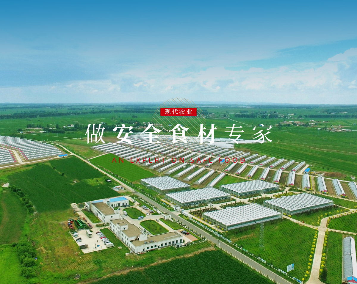 banner5_p9615812 首页-人生就是博(官网)